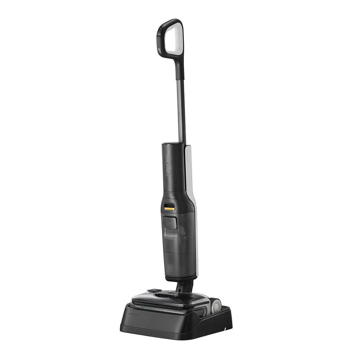 Roborock F25