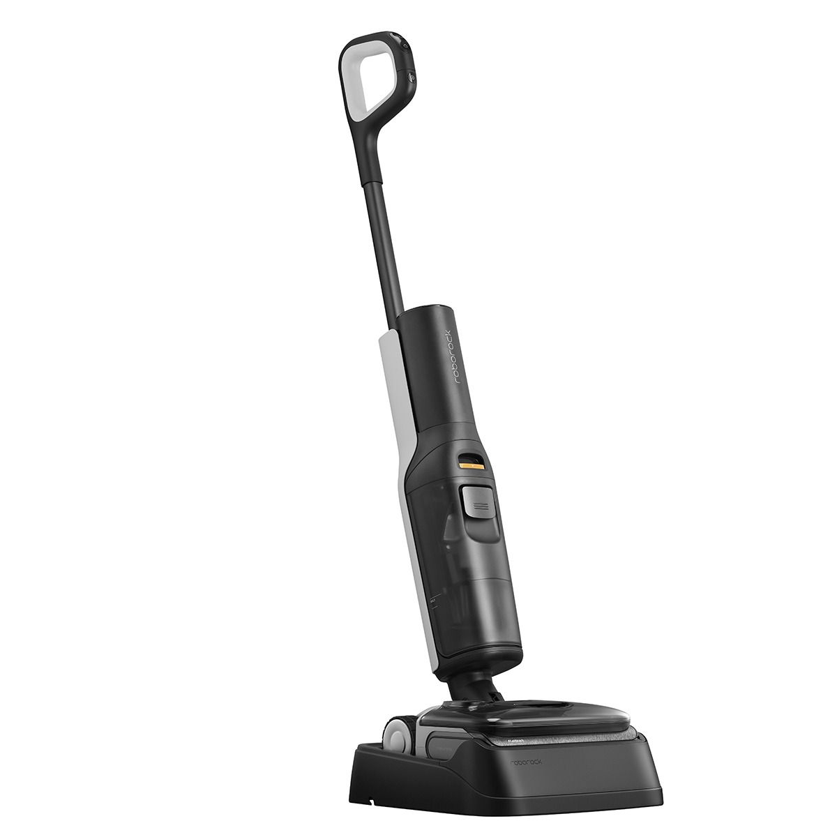 Roborock F25